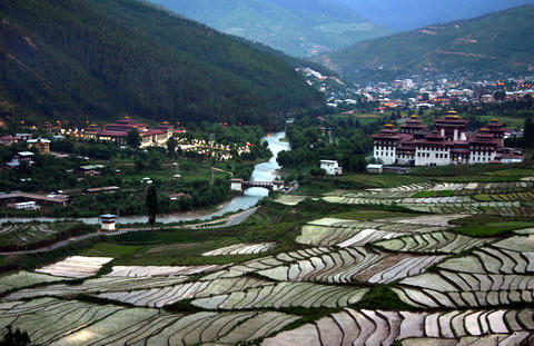 You are currently viewing Things to See & Do In Thimphu. Part 2.
