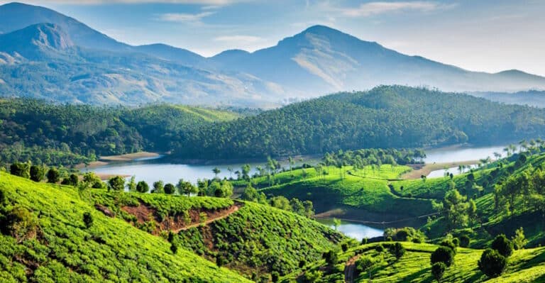 Munnar region, in beautiful Kerala state of southern India, is reknowned for its tea plantations and delightful hill station scenery. Go there!