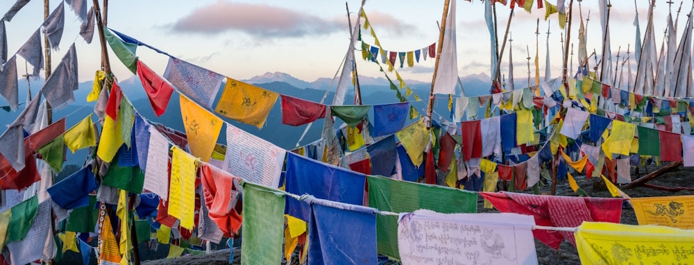 Prayer Flags at Chele La pass which you will visit on this tour.