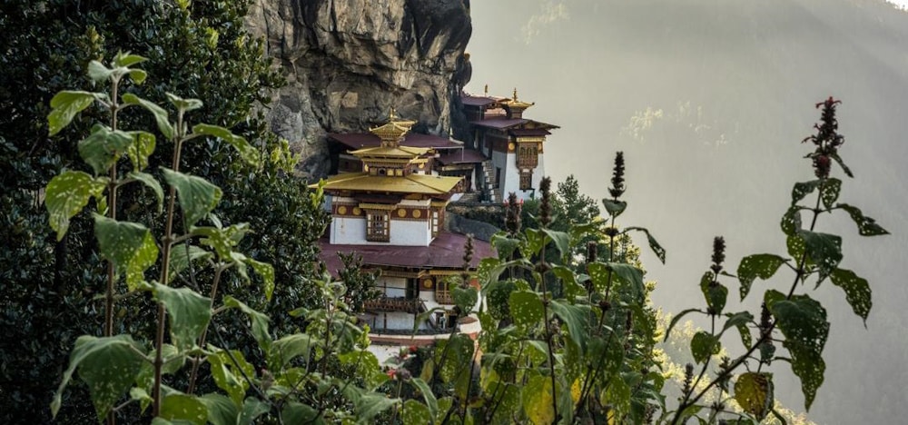 Taktsang Monastery Paro which you will visit on this tour.